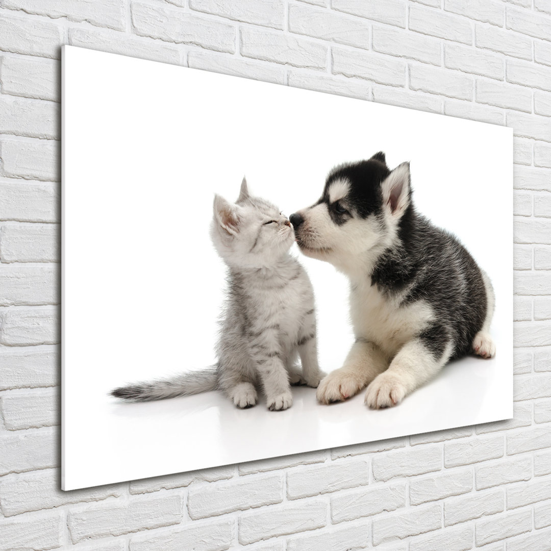 Glasbild Hund und Katze