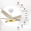 Ventilateur de plafond standard à DEL à 5 pales avec télécommande et ensemble d'éclairage inclus-211823583-211713693-211823570