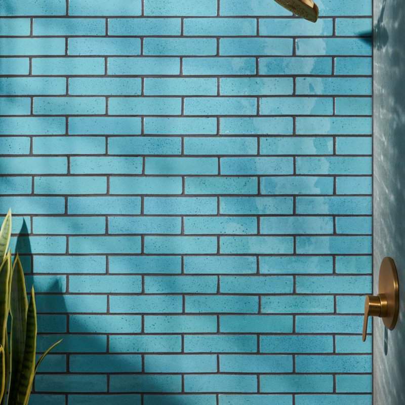Emery 2x8 Handmade Crackled Glossy Terracotta Subway Tile