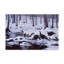 «Hardwood Creek Wild Turkeys» par Berrien, impression sur toile tendue-27649203