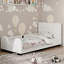 Upholstered Platm Bed