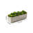 5'' Faux Succulent Plant in Stone Planter