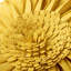 Housse et insert décoratif décoratif 3D Floral-788575738-788203918