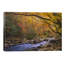 Little River Flowing Through Autumn Forest, Great Smoky Mountains National Park, Tennessee 1 Piece Wrapped Canvas Painting-97211558