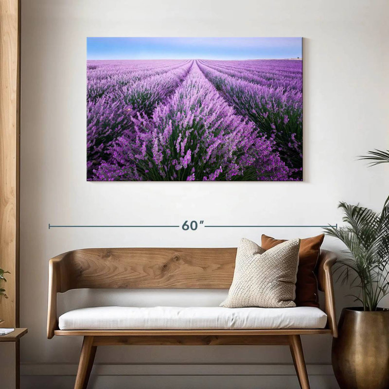Champ de lavande d'Alvord en Provence, H 30 po x l 45 po