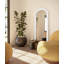 Thea 30 in. x 71 in. Mediterranean Arched Mirror-1251150779