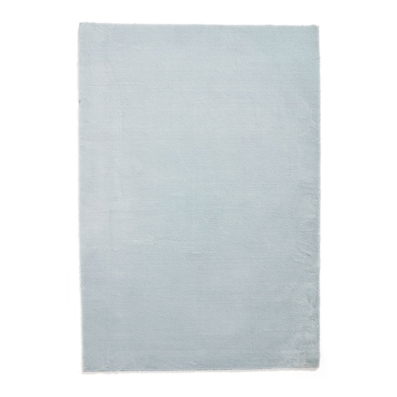 Tejal area rug Machine Woven Light Blue, Rectangle 120cm x 170cm