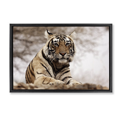 «Strong Tiger Atop Hill» par Danita Delimont