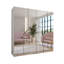 Manufactured Wood Wardrobe-2010070476