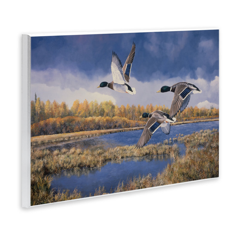 «Ducks Heading South» par Andrew Kiss, H 10 po x l 15 po
