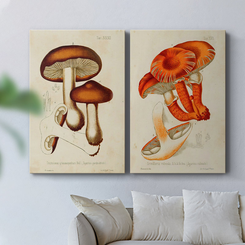 Toile tendue avec châssis Mushroom Variétés VI-Premium - Prêt à être accroché, H 18 po x l 24 po
