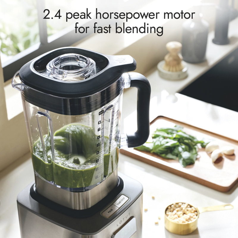 Lotus Professional Series The Power Spin Infinite Speed Control Blender