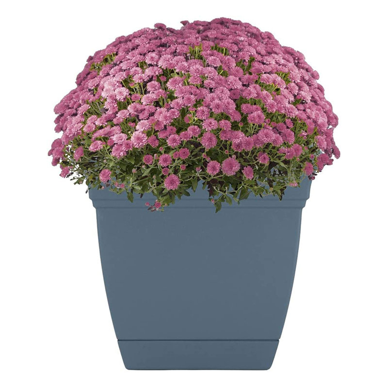 Pot à fleurs Fulgentas