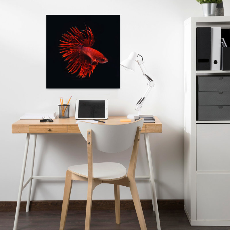 Poisson rouge Betta, art contemporain de la faune, H 18 po x l 18 po