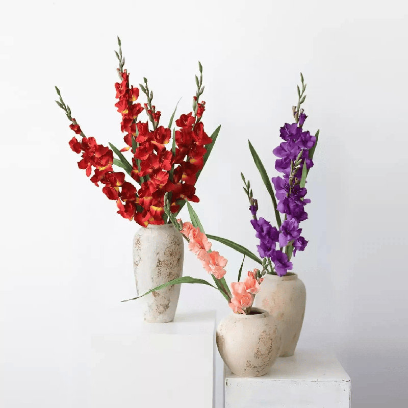 Tige de jardin glaïeul, [B] 3 Stems, Royal Purple Large