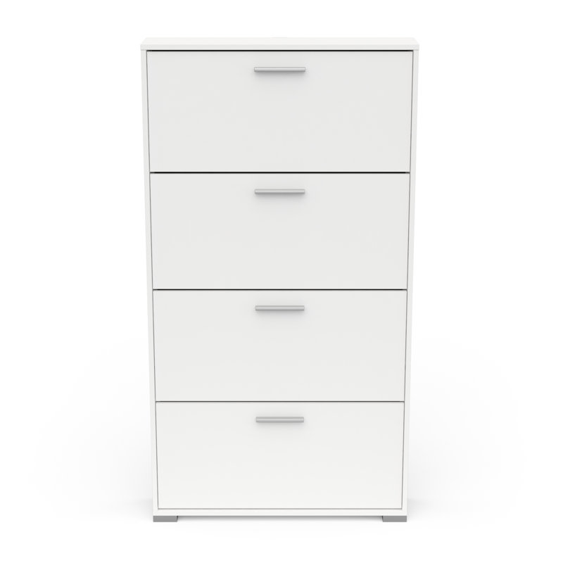 Barbaa 12 Pair Shoe Storage Cabinet