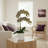 Orchid Arrangement in Pot-516251516