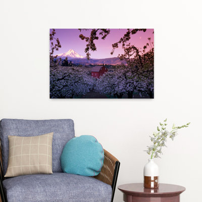 Flowering Apple Trees Distant Barn And Mount Hood Sunrise Oregon Usa. Abstract Contemporary Apple Tree Landscape Mountain Art