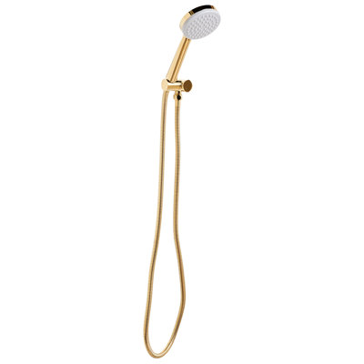 Shower Head and Hose Kit AYPATE