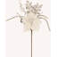 Spring Multi Jeweled Poinsettia 22" Stem