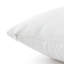Dardel Velvet Scatter Cushion Cover-1588525078