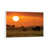 White Framed selected