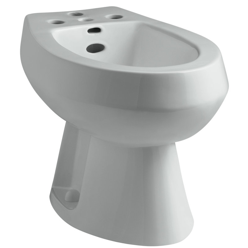 San Tropez® Vertical Spray Bidet with 4 Faucet Holes, Ice Grey