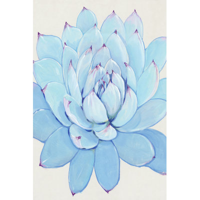 Pastel succulent II