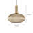 Luminaire suspendu en laiton 1 lumière Salicia-2930044