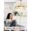  Ventilateur de plafond à pales invisibles de 42 po Cissline avec lumière et télécommande pour la chambre à coucher, la salle à manger et le salon