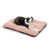 Rose est en rupture de stock