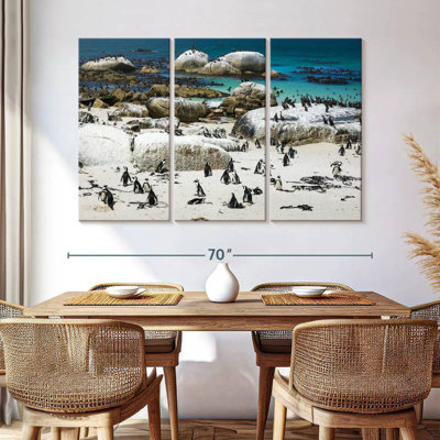 Pingouins de Brampt Boulders Beach