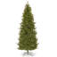 Sapin Fraser effilé d'aspect naturel-1176805883