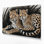 «Big Cats Cheetahs», art mural sur toile noire