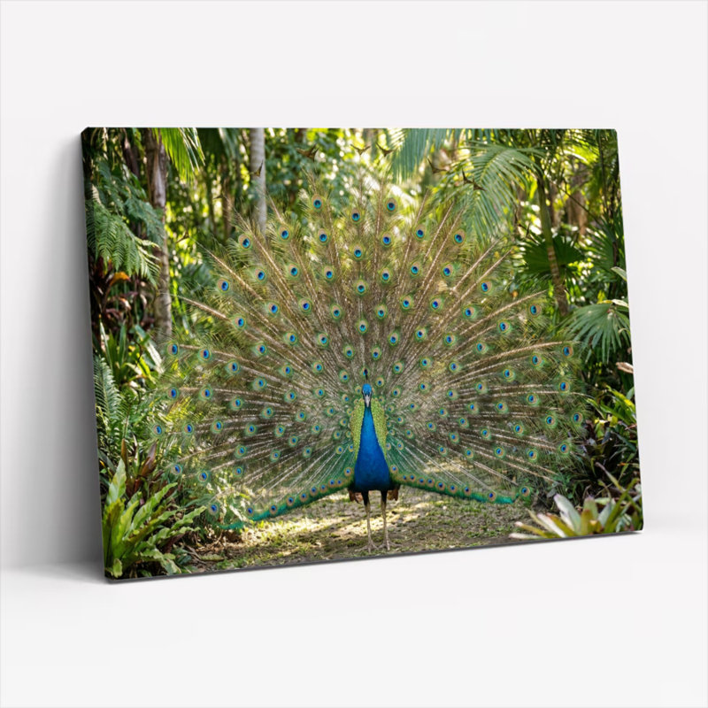 Ensemble de 1 tableau sur toile tendue représentant des plumes de paon, H 12 po x l 18 po