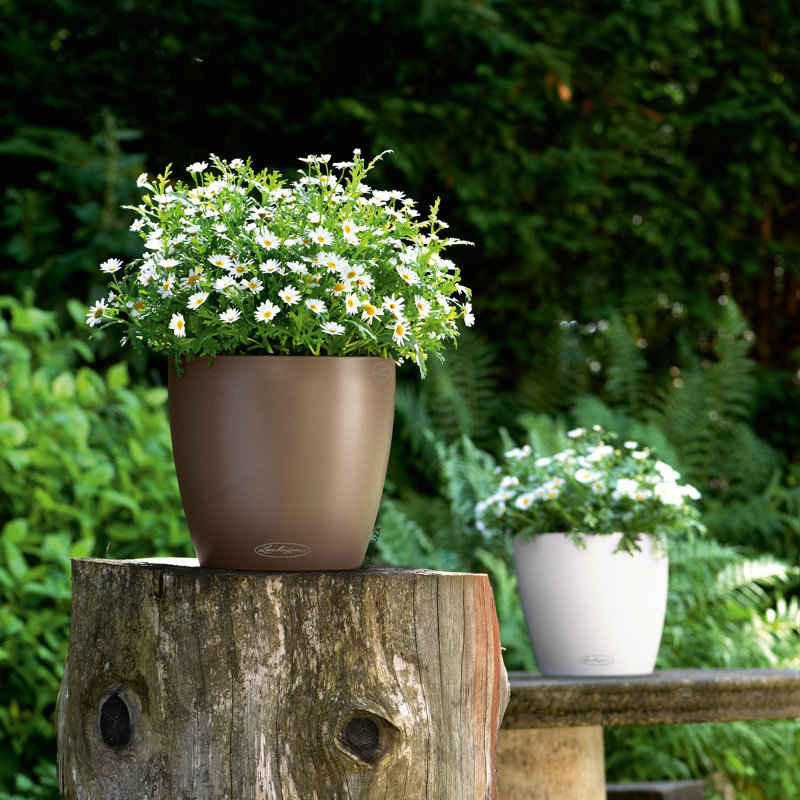 Pot à fleurs rond en plastique Classico Color 43 avec indicateur de niveau d'eau pour l'intérieur et l'extérieur, blanc