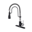 Bolden CASAINC 1.8 GPM Spring Neck Pull Down Kitchen Faucet with Deck Plate