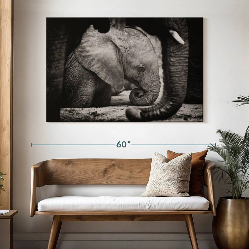 Brampt Napping Baby Elephant, 34" H x 51" W