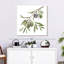 Branche d'olive fraîche Harnek I