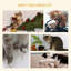 270cm H Cat Tree