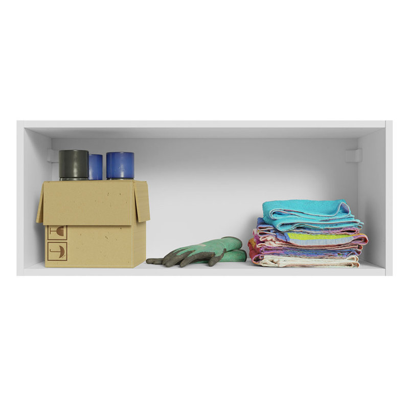 Latitude Run Slim Garage and Utility Room Wall Storage Cabinet with Horizontal Door and Shelves 31 Inch Wooden Organization Unit - White