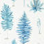 Fernery Wallpaper-50889001