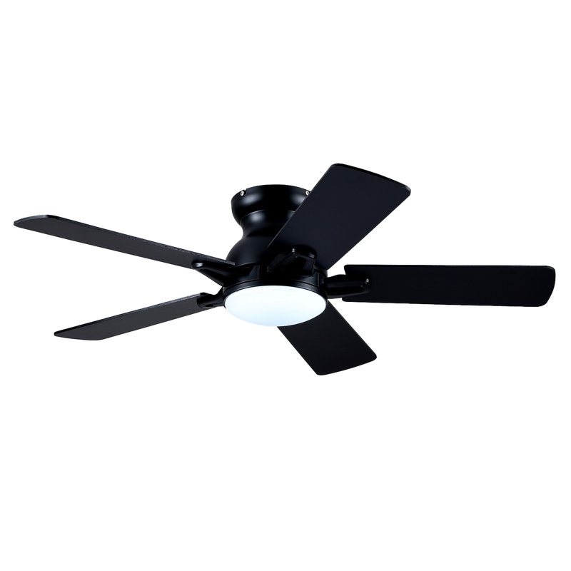 Ventilateur de plafond 5 pales 46 po avec ensemble d'éclairage à DEL et télécommande, Noir, 46"