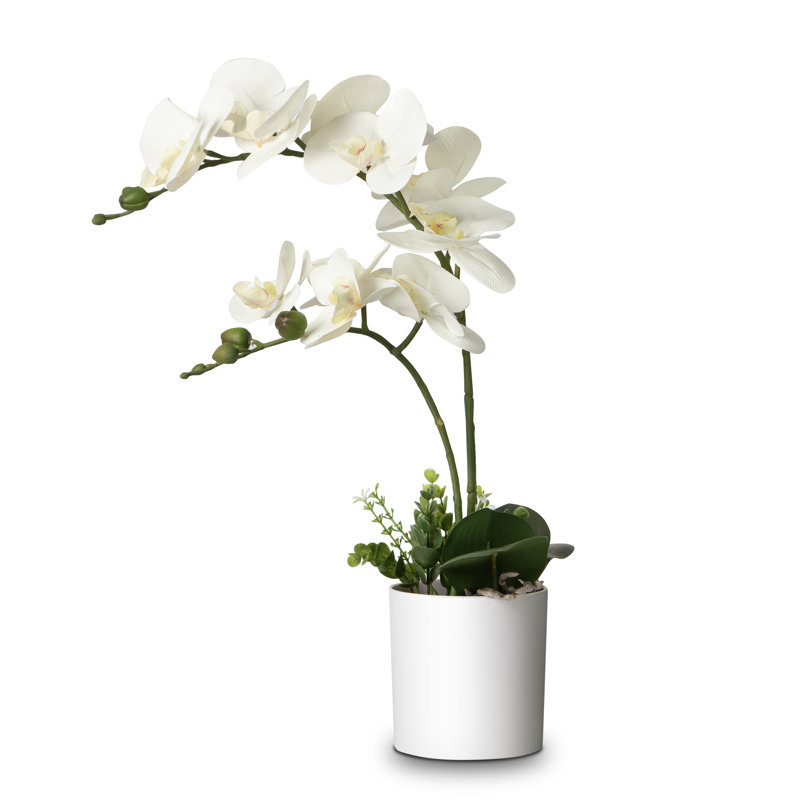 Arrangement de soie orchidée en pot, Blanc