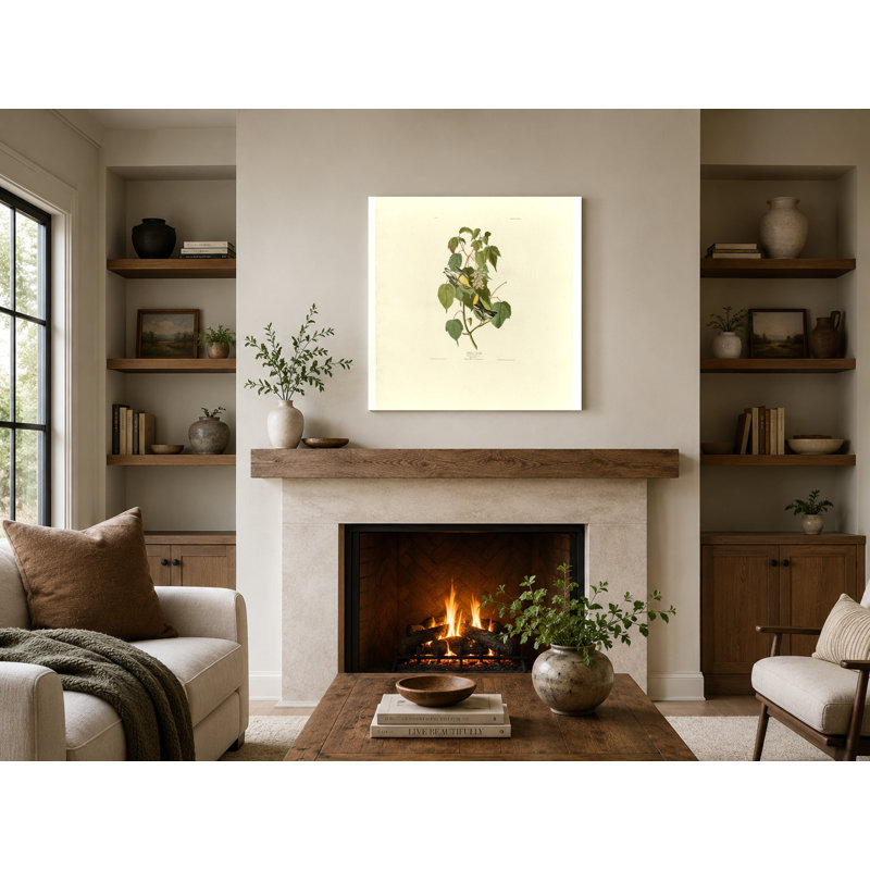 Pruche de la pruche (planche 134) - art mural carré sur toile, 16" W x 16" H