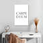 Carpe Diem - Seize The Day-44131165