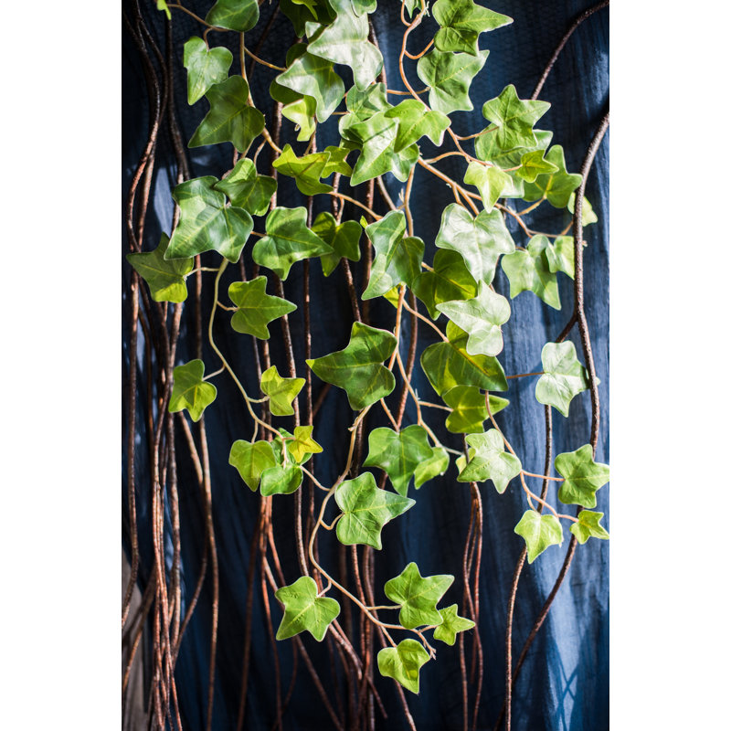 Branche de ivy à douille suspendue, Deux tiges