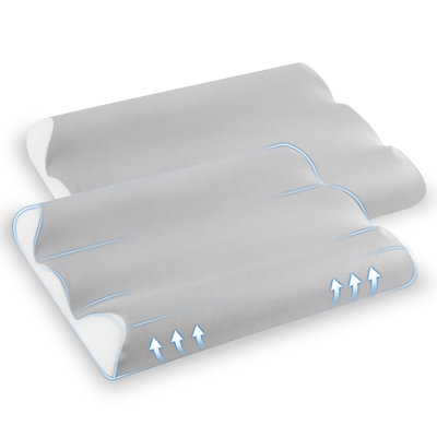 2 Pack Ergonomic Contour Memory Foam Cervical Pillow, Neck Support Pillow for Side and Back Sleepers, Relief for Neck and Shoulder Pain