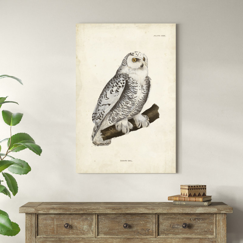 " Snowy Owl ", 30" H x 20" W x 1.25" D