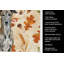 Serviette de cuisine tricolore Sheltie-2083471937